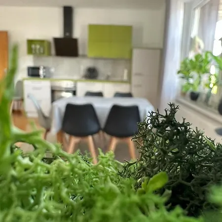 Karl 22 Apartment *